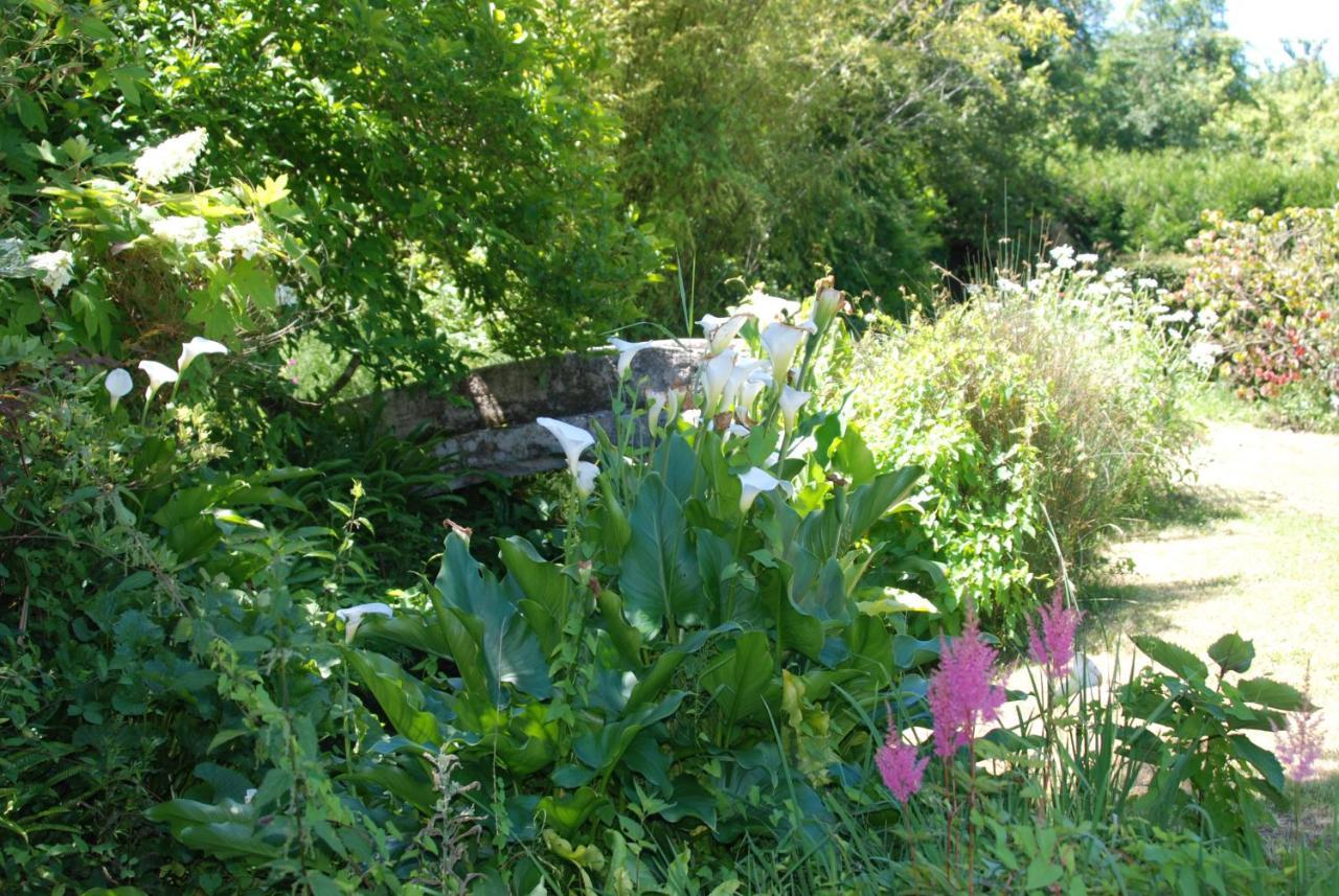 希特奈La Petite Marguerite住宿加早餐旅馆 外观 照片