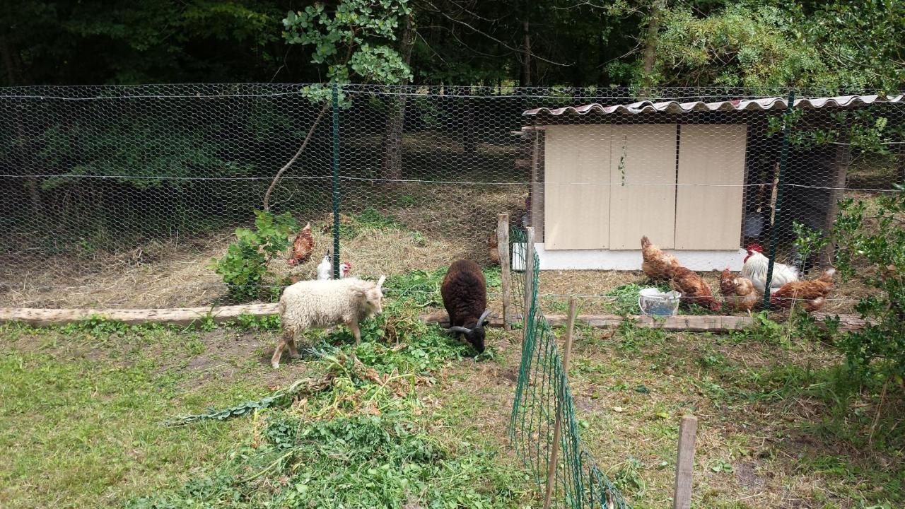 希特奈La Petite Marguerite住宿加早餐旅馆 外观 照片
