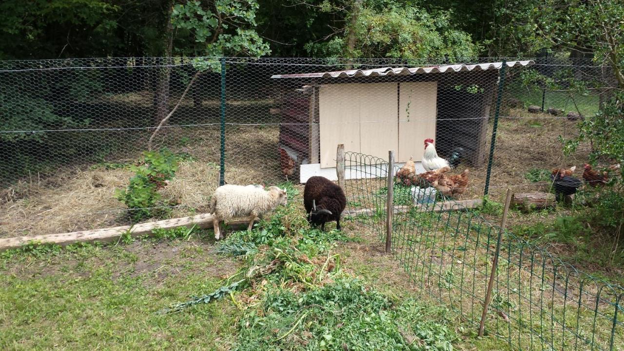 希特奈La Petite Marguerite住宿加早餐旅馆 外观 照片